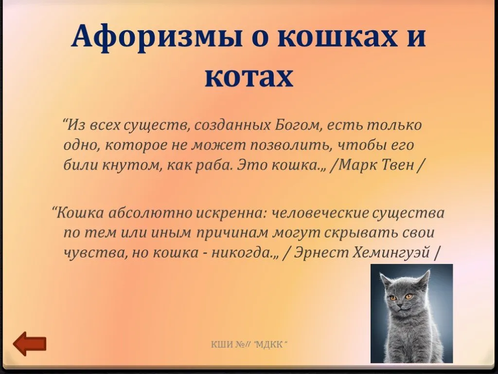 Основная мысль текста про кота. Афоризмы про кошек. Высказывания о котах. Высказывания о кошках. Высказывания о котиках.